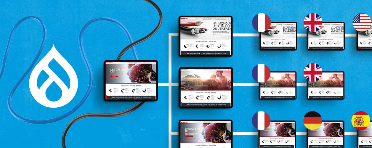 Représentation des multi sites, et de leur déclinaison en plusieurs langues, du site internet du groupe Omerin, créé avec le CMS Drupal
