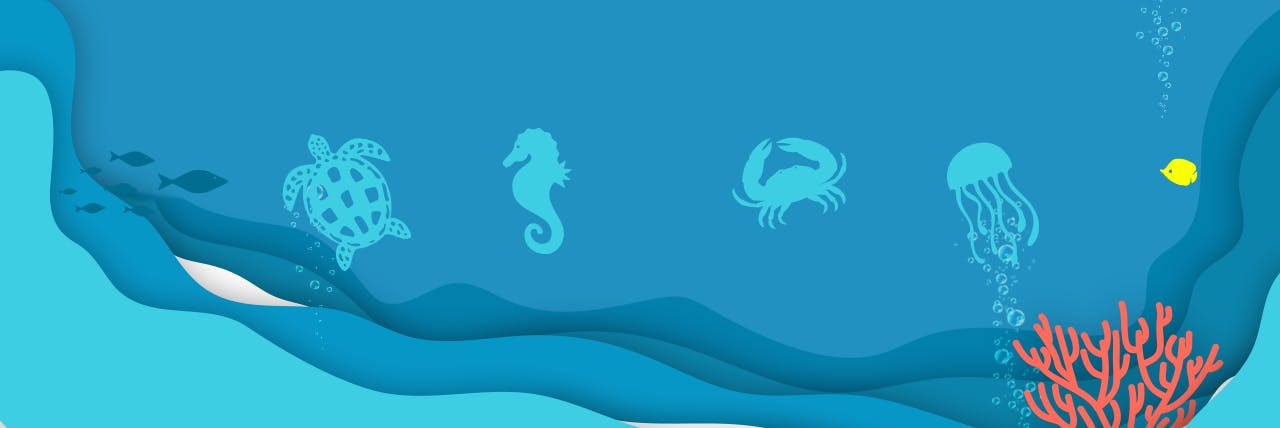 Identité graphique de la campagne des offres d'été de Samsung