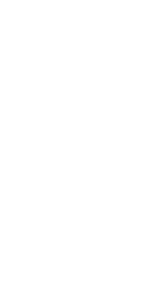 icon debit